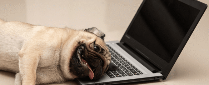 6 Lazy Business Ideas | Corpzzy