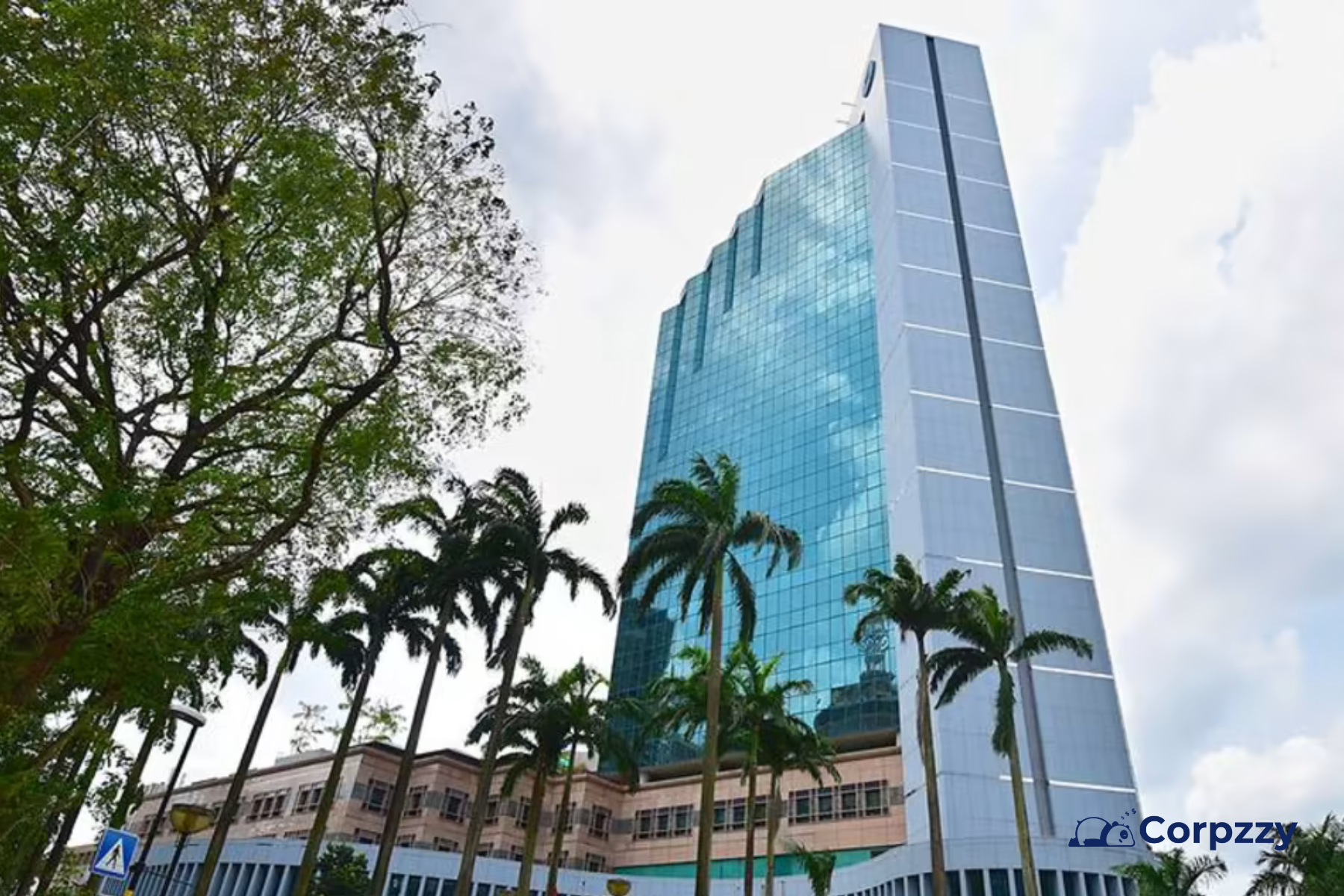 Understanding IRAS Singapore: What You Need to Know